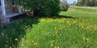 2026-pollinisateurs-361-10e-rang-1