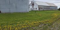 2026-pollinisateurs-531-Saint-Hyacinthe-1
