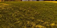 2026-pollinisateurs-553-Saint-Hyacinthe-1