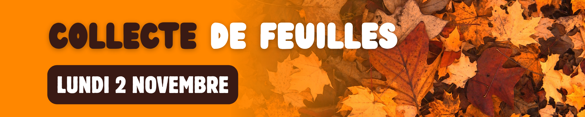 2026-11-02-collecte-feuilles-web
